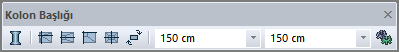 kolon başlığı 2.png